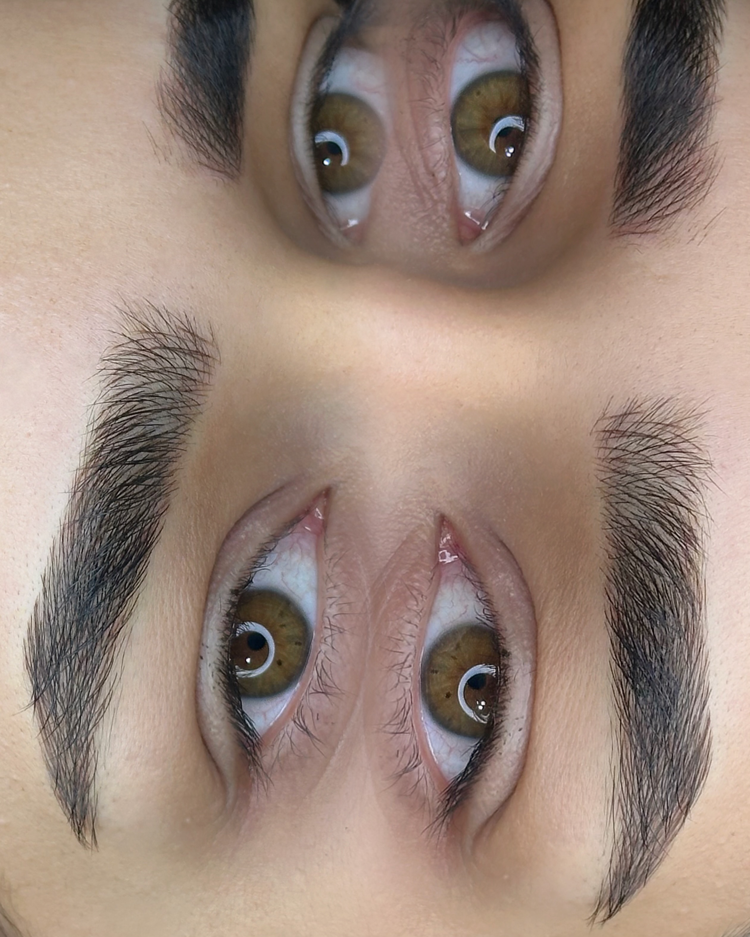 نمونه کار راحله رجایی — لیفت و لمینت مژه