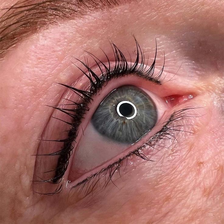 نمونه کار آیلین ابراهیم — لیفت و لمینت مژه