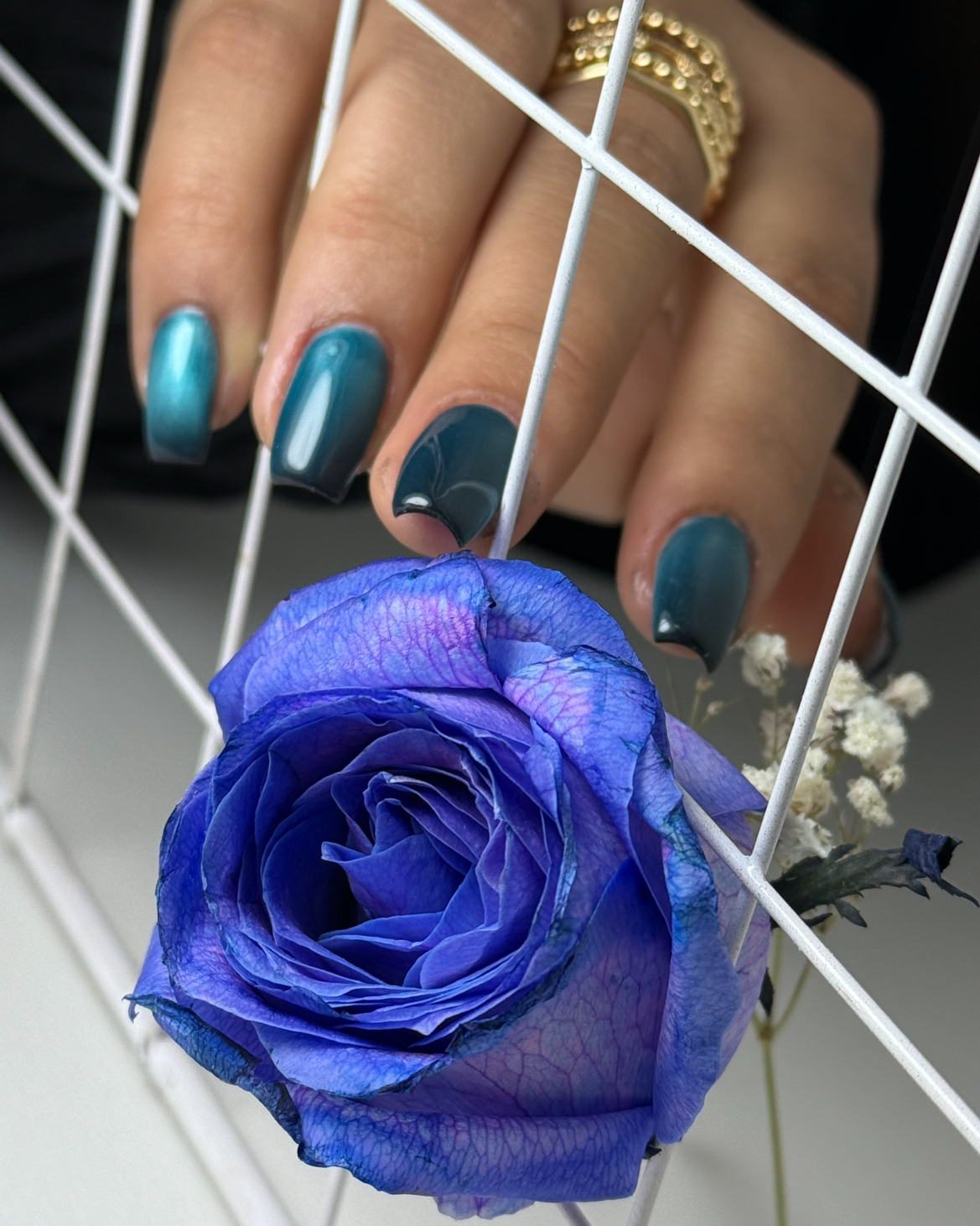 نمونه کار شینا ناصری — لیفت و لمینت مژه
