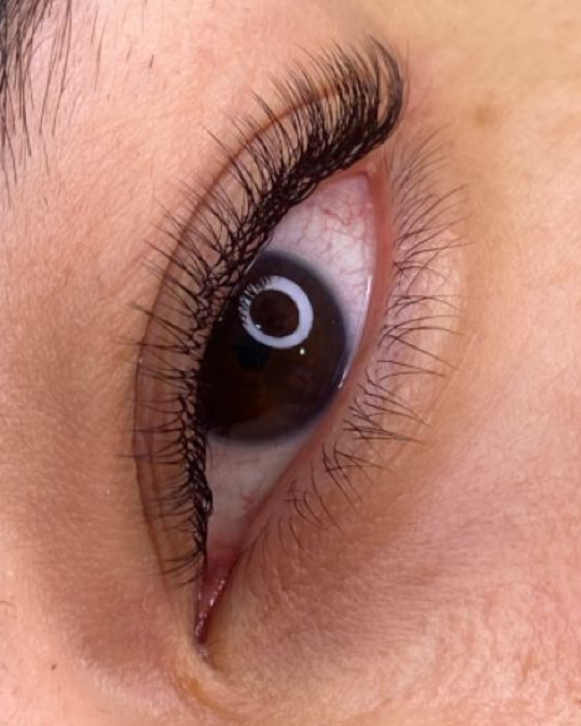 نمونه کار ستایش امیرلو — لیفت و لمینت مژه
