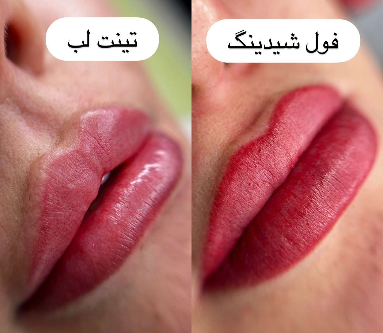 نمونه کار الناز جنگجو — لیفت و لمینت مژه