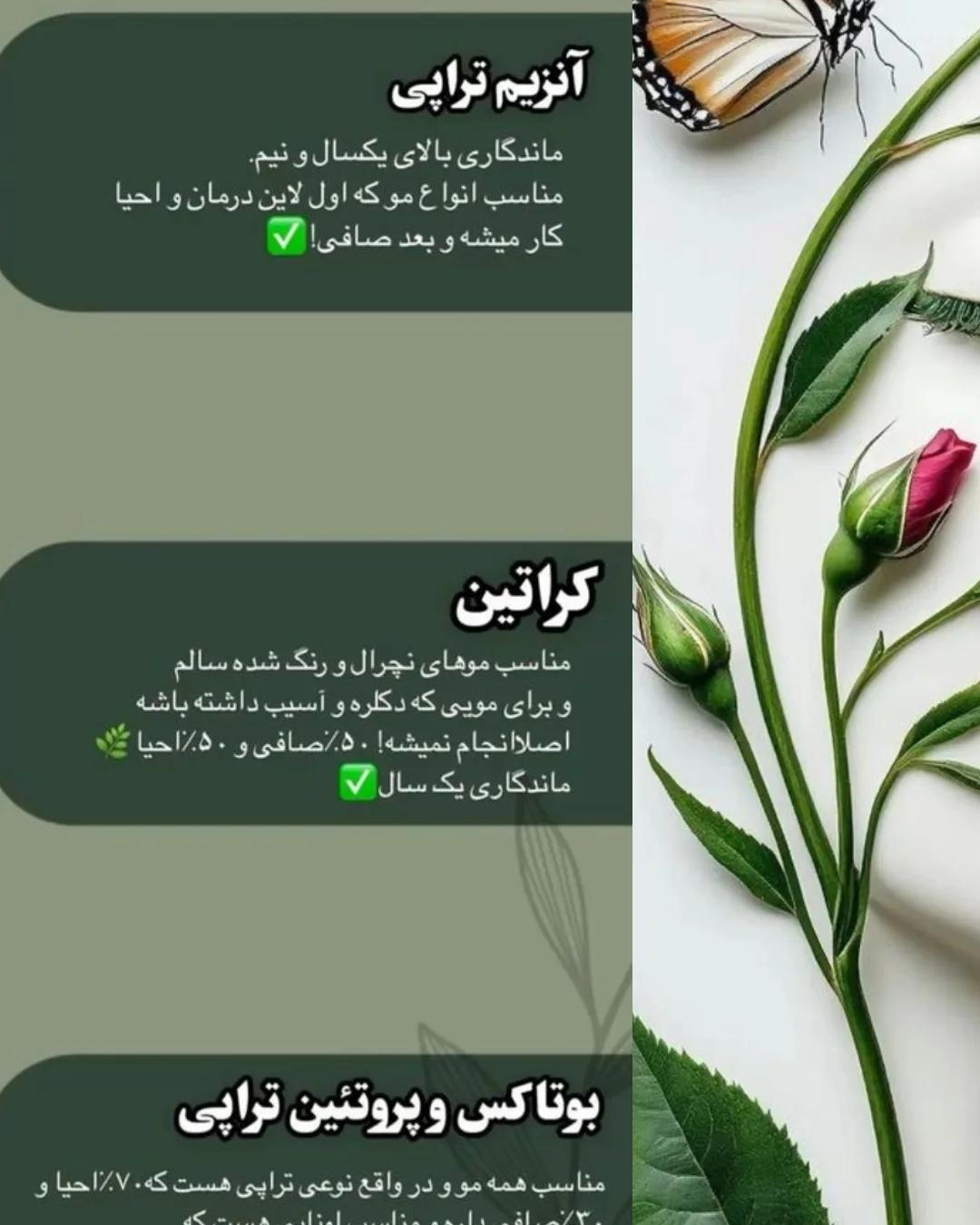 نمونه کار سمیه فردوس — لیفت و لمینت مژه